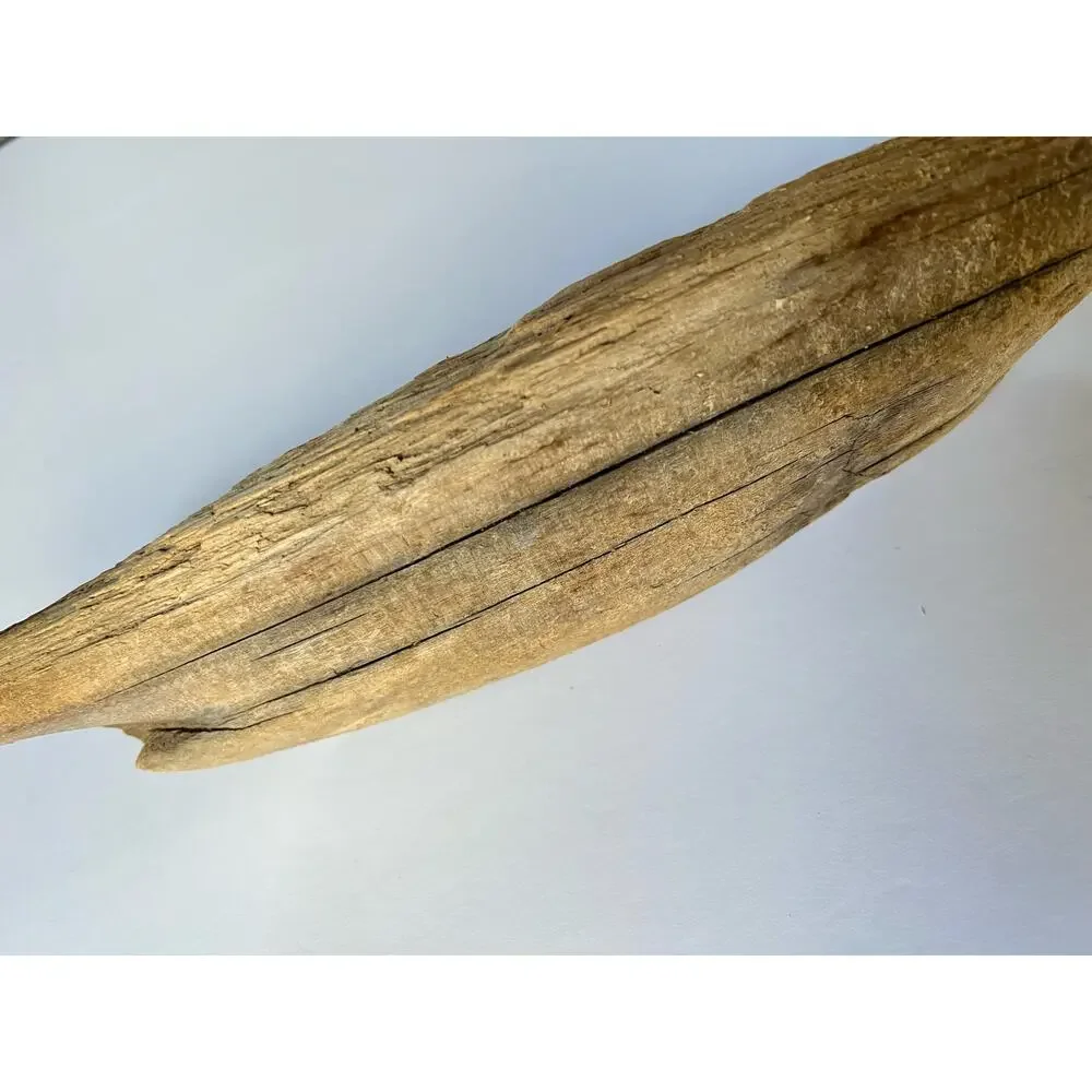Driftwood from Hetch Hetchy dam 12 inches aquarium art decor